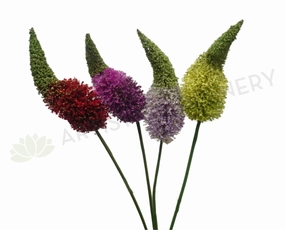 F0107SML Foxtail Lily Small 90cm 4 Colours outdoor greenery  