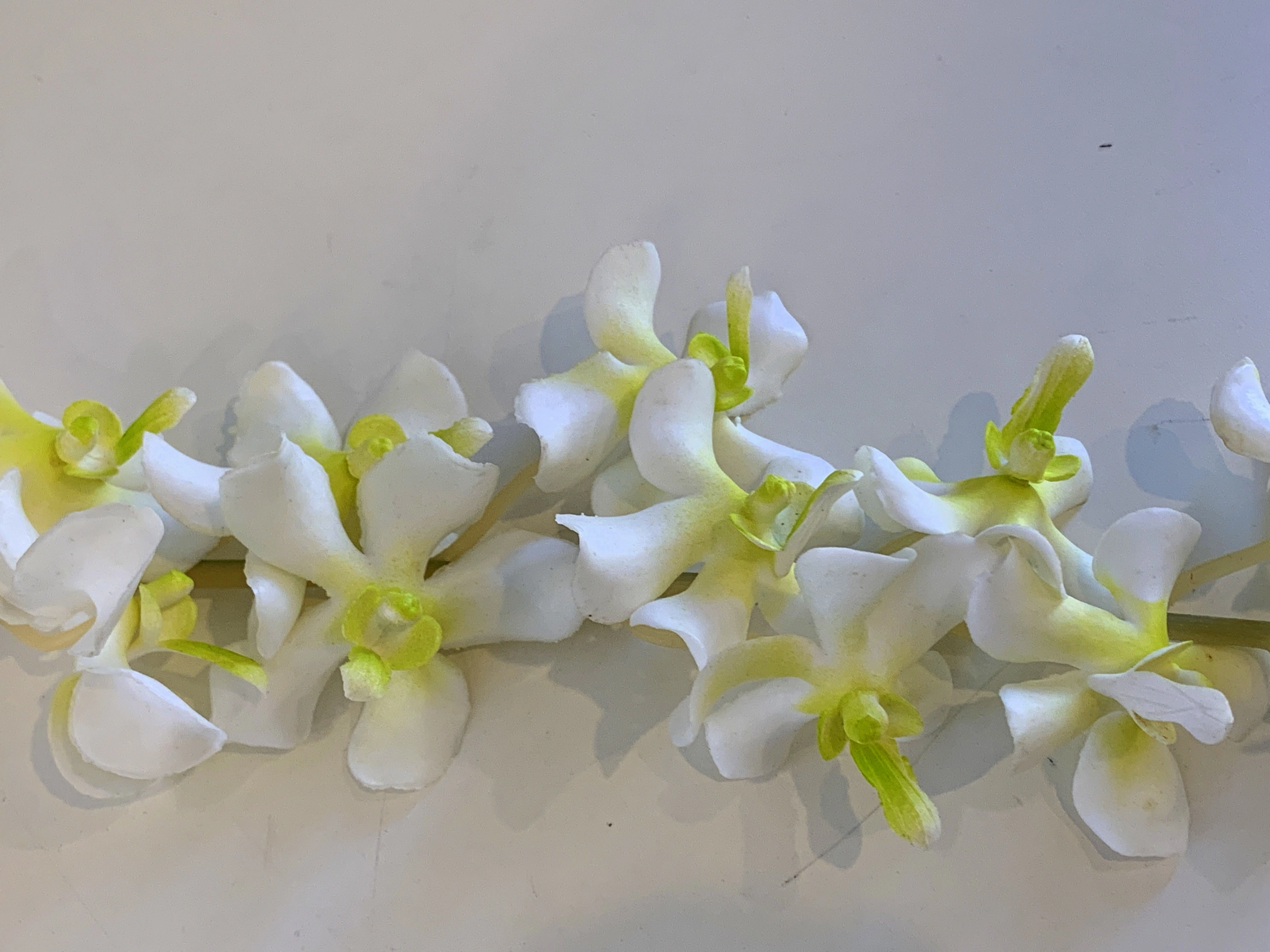 F0118 Orchid Spray Real Touch 80cm White / Pink