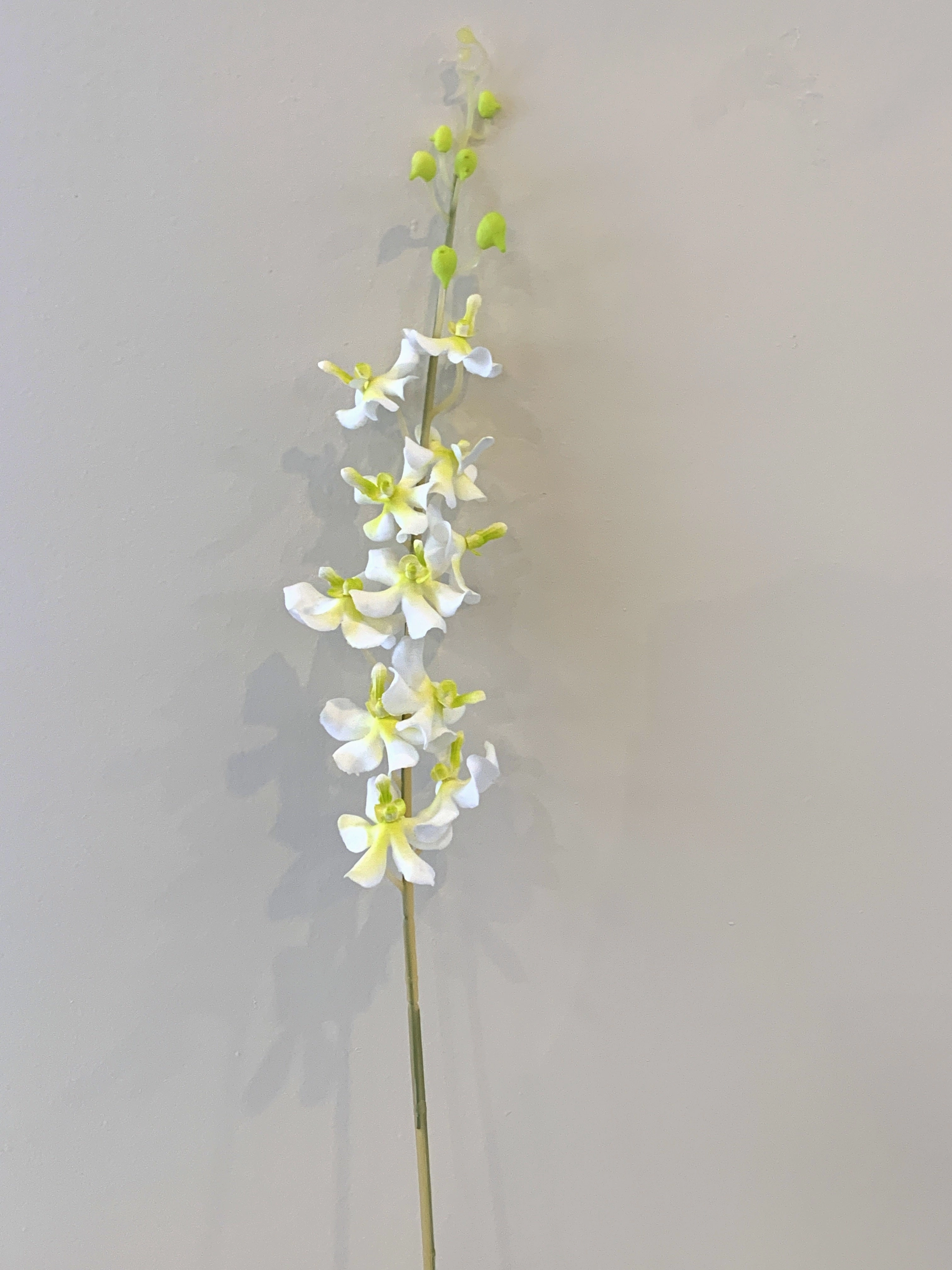 F0118 Orchid Spray Real Touch 80cm White / Pink