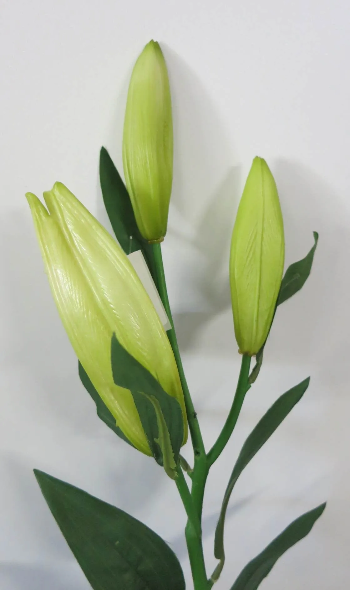F0121 Lily bud / Lilium buds 78cm