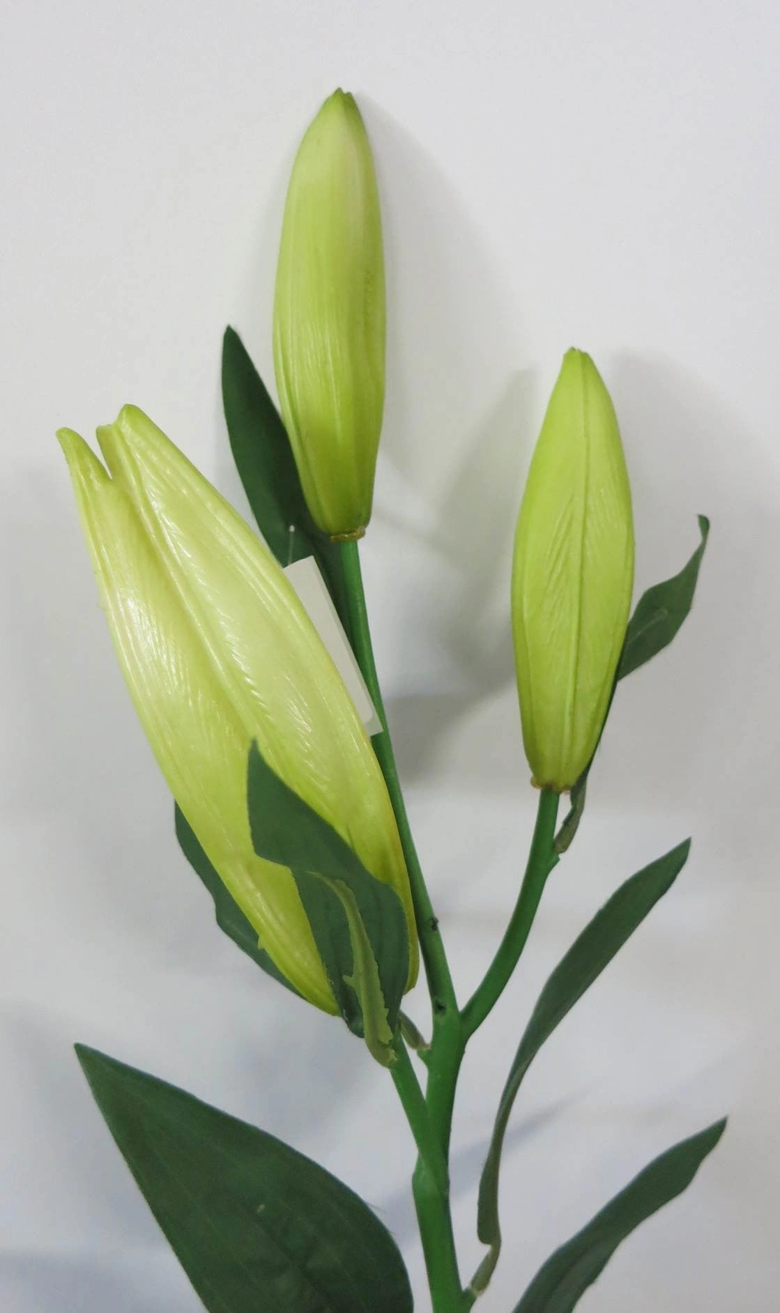 F0121 Lily bud / Lilium buds 78cm