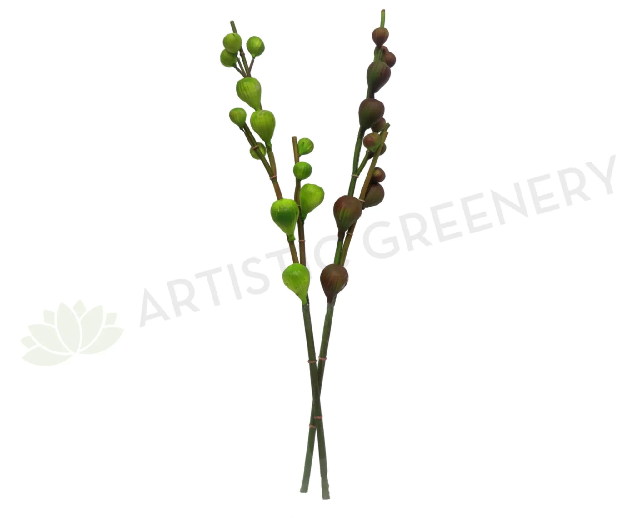 F0129 Fig Sprig 78cm Green / Purple dried green plant  