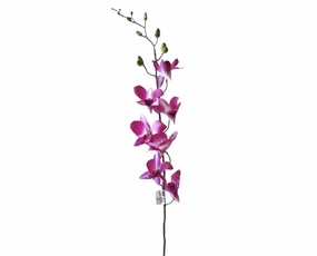 F0130 Dendrobium Orchid / Singapore Orchid 70cm Pink outdoor greenery  