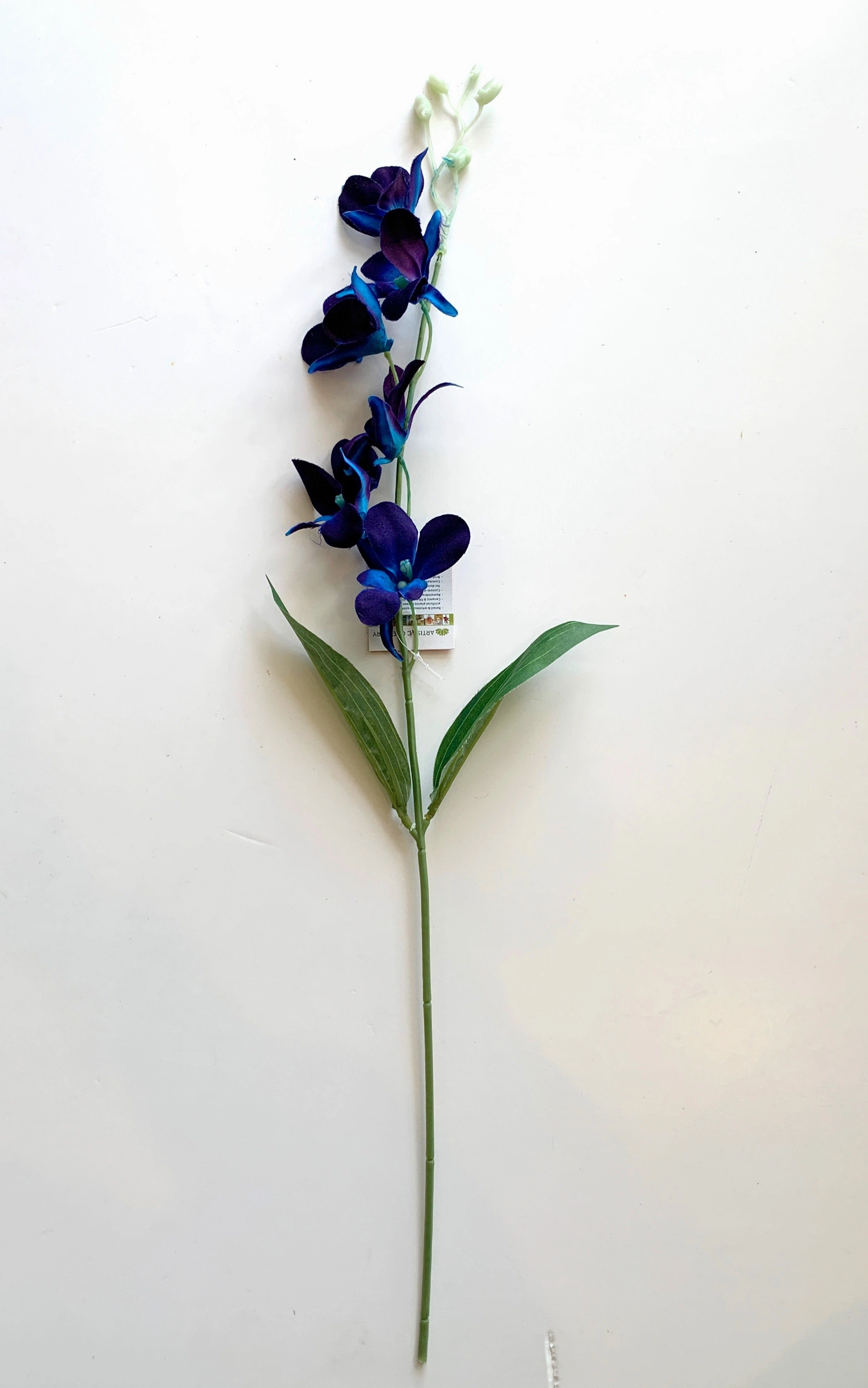 F0130BLU Blue Dendrobium Orchids / Galaxy Orchid 66cm