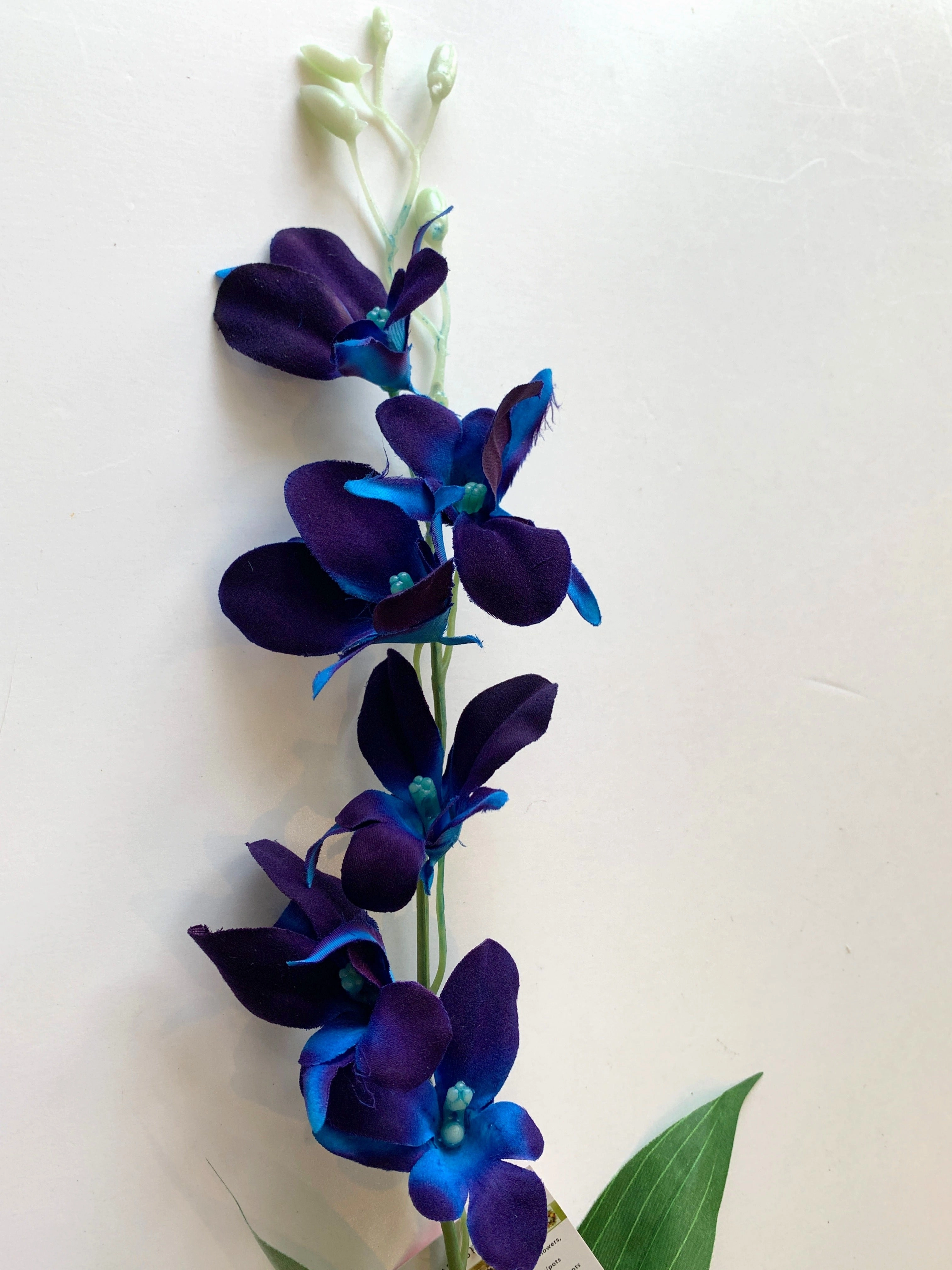 F0130BLU Blue Dendrobium Orchids / Galaxy Orchid 66cm