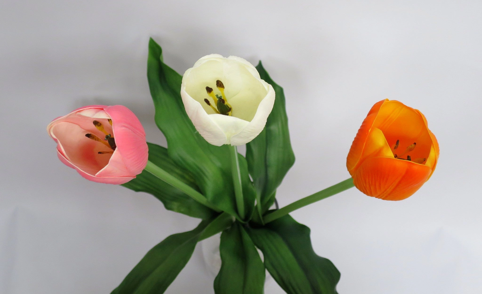 F0135 PU Tulip Single Stem Real Touch 48cm 5 Colours