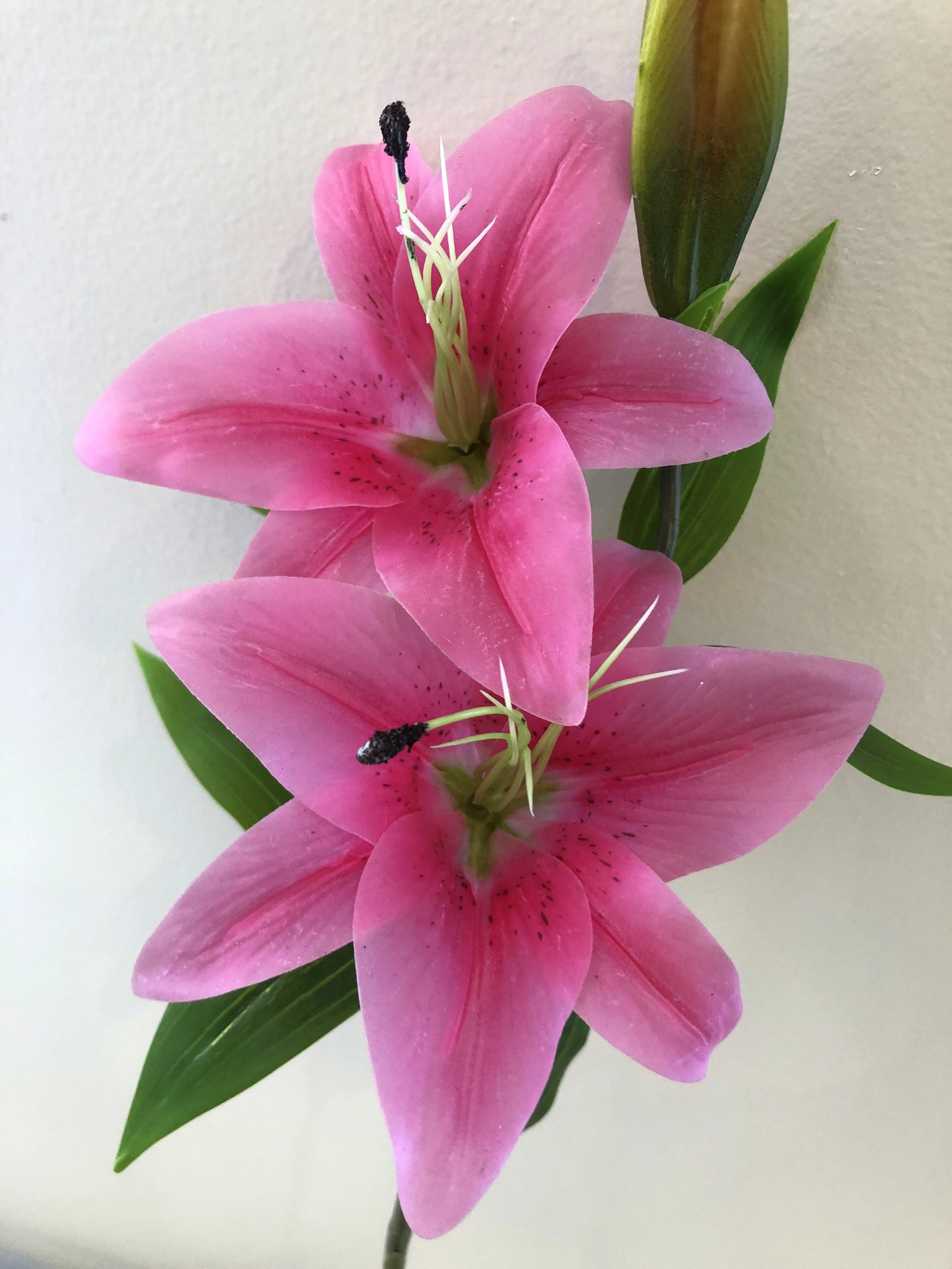 F0138L Oriental Lily Spray (Real Touch) 74cm White / Pink