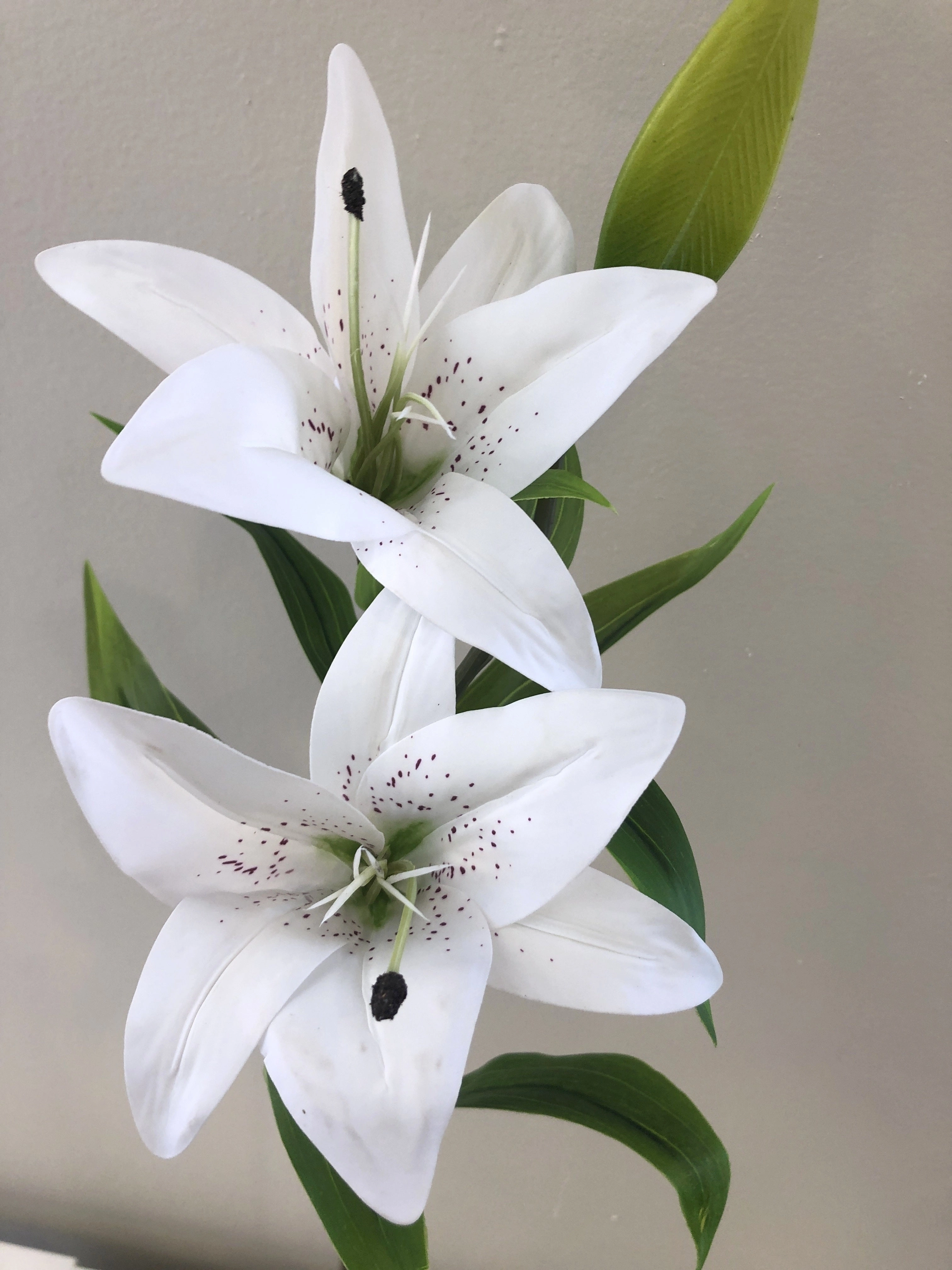 F0138L Oriental Lily Spray (Real Touch) 74cm White / Pink