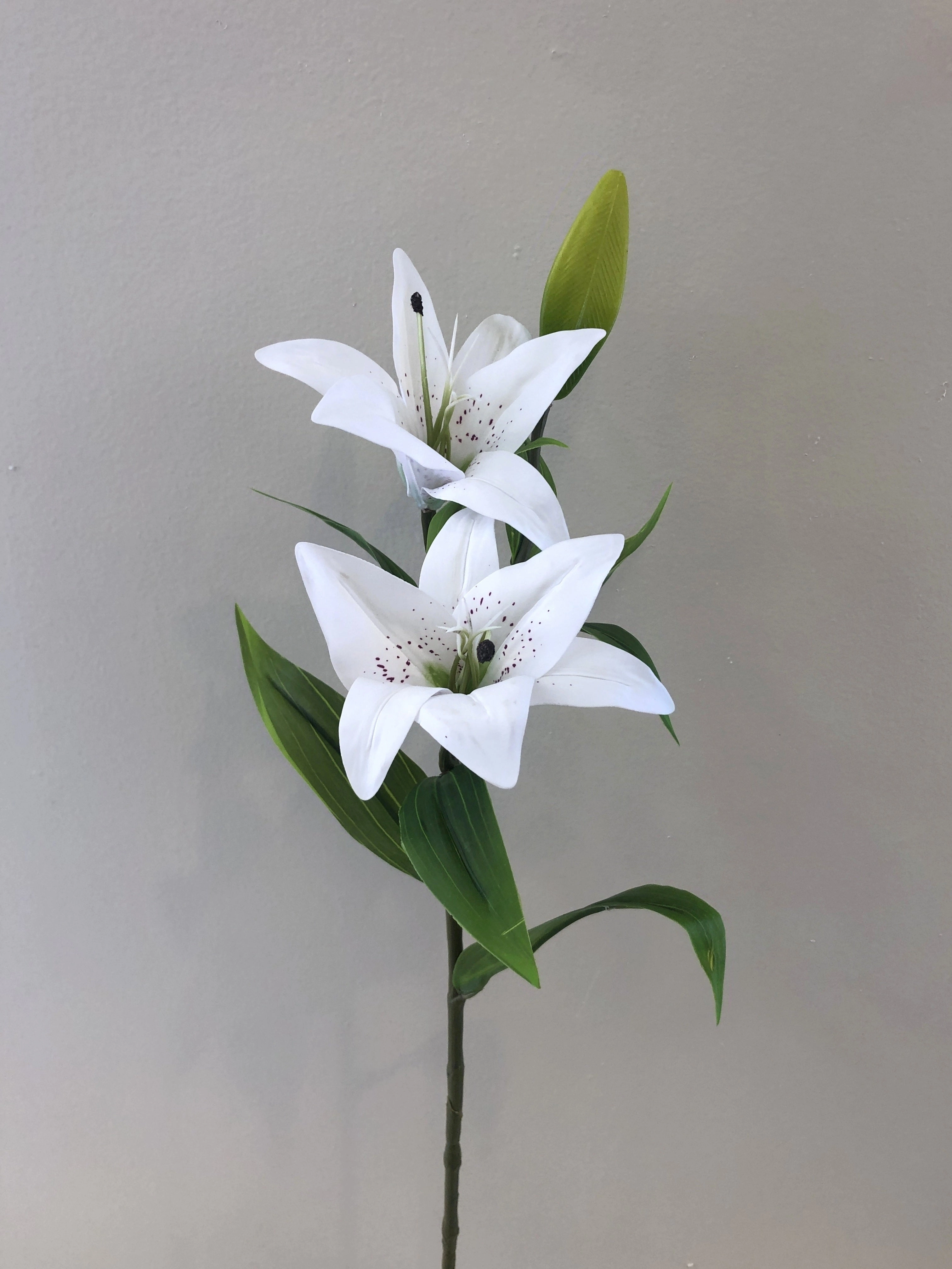 F0138L Oriental Lily Spray (Real Touch) 74cm White / Pink