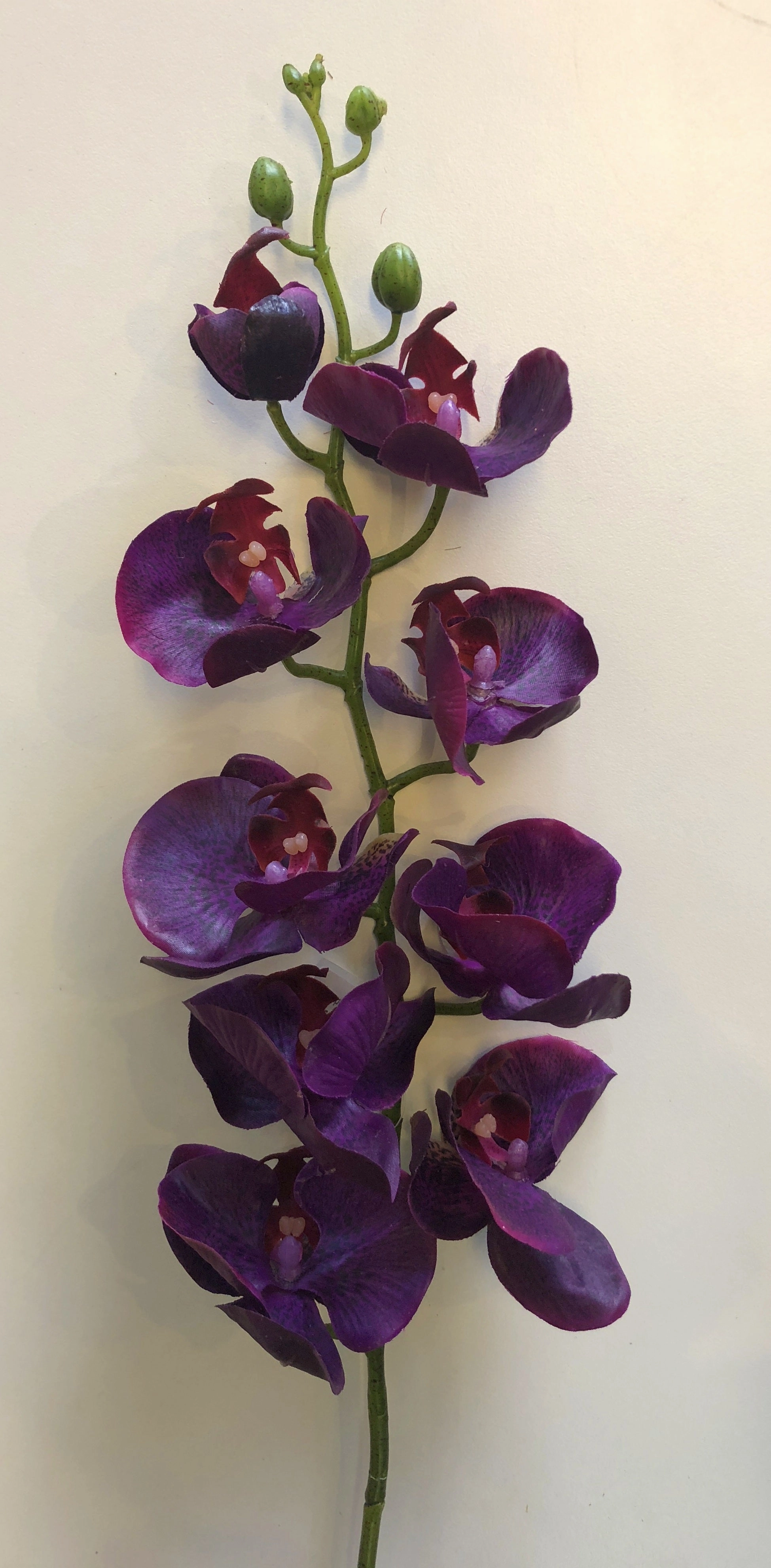 F0142 Phalaenopsis Orchid Spray Real Touch 100cm 2 Colours Pink / Purple