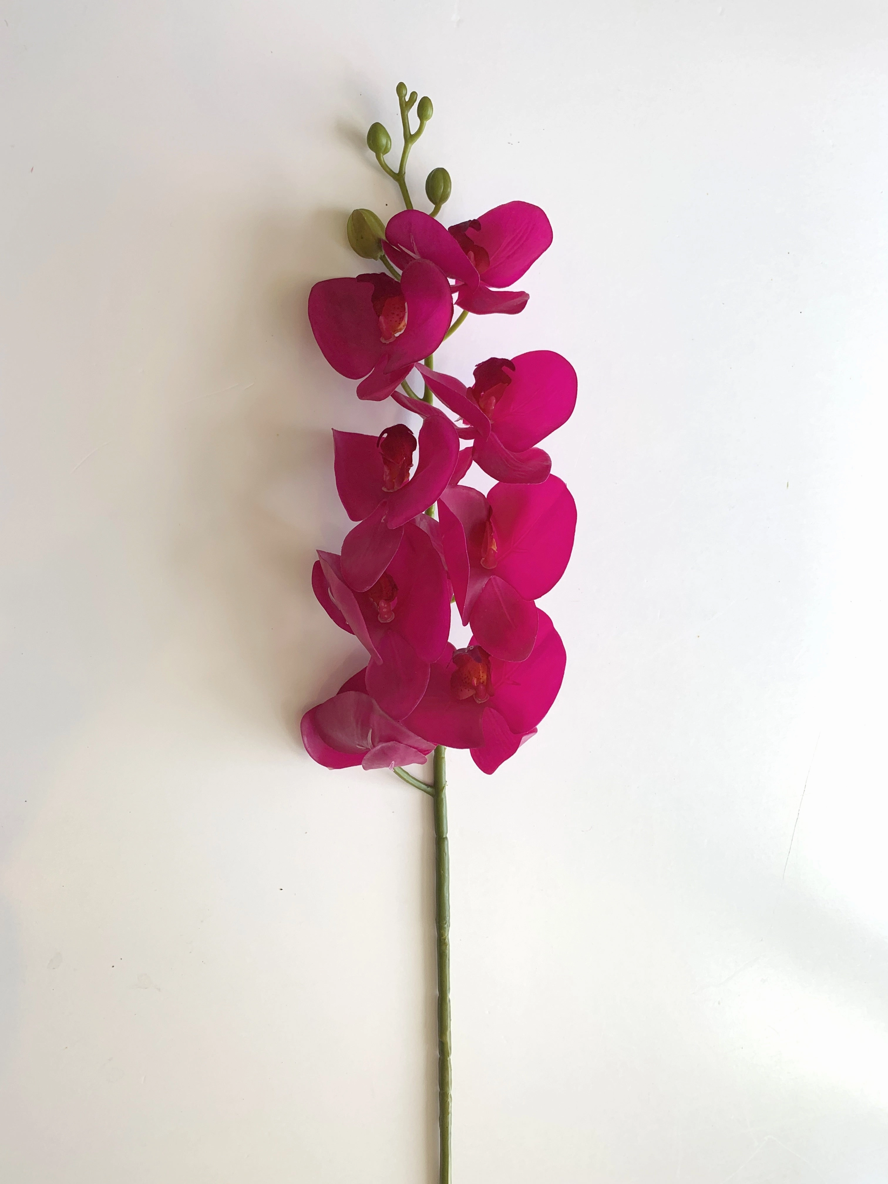 F0142 Phalaenopsis Orchid Spray Real Touch 100cm 2 Colours Pink / Purple