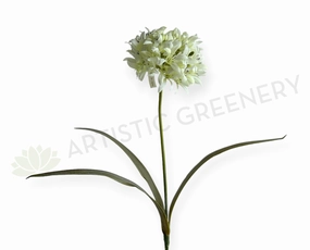 F0145 Agapanthus Stem 74cm White indoor houseplants  