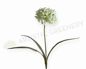 F0145 Agapanthus Stem 74cm White outdoor greenery  