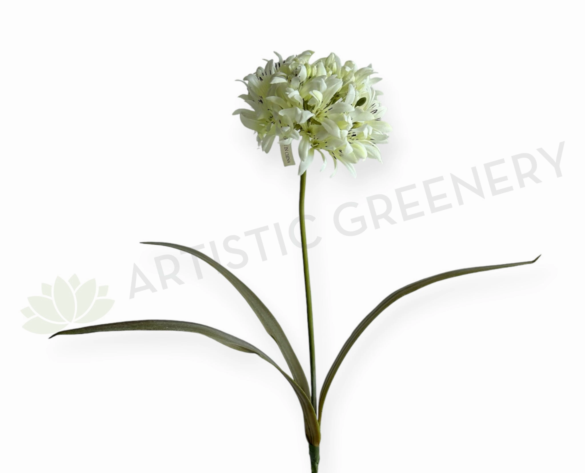 F0145 Agapanthus Stem 74cm White outdoor greenery  