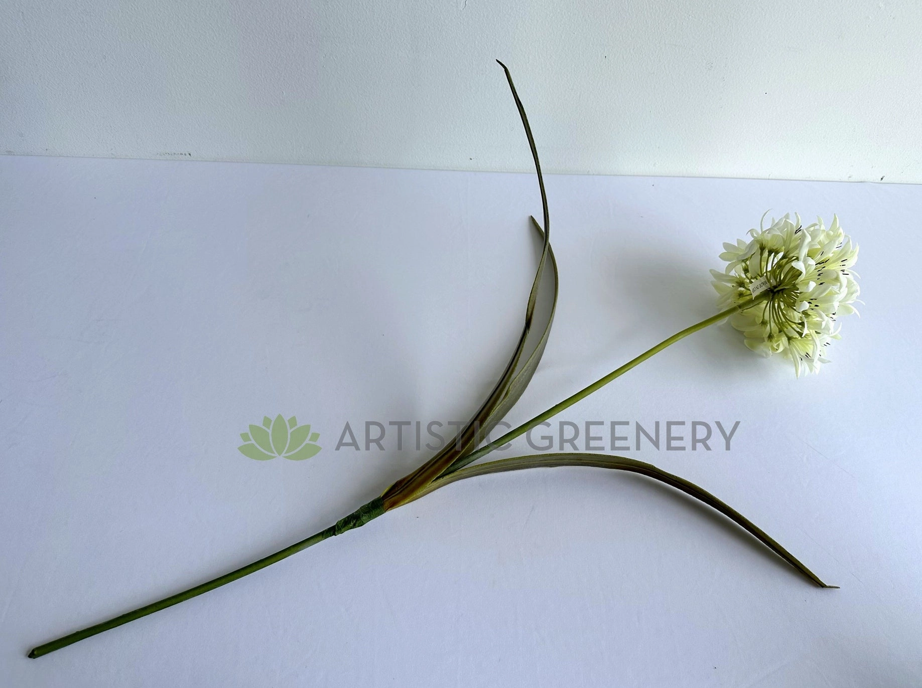 F0145 Agapanthus Stem 74cm White