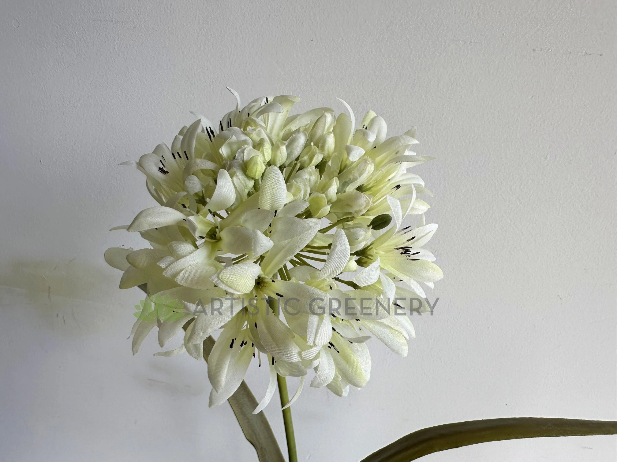 F0145 Agapanthus Stem 74cm White