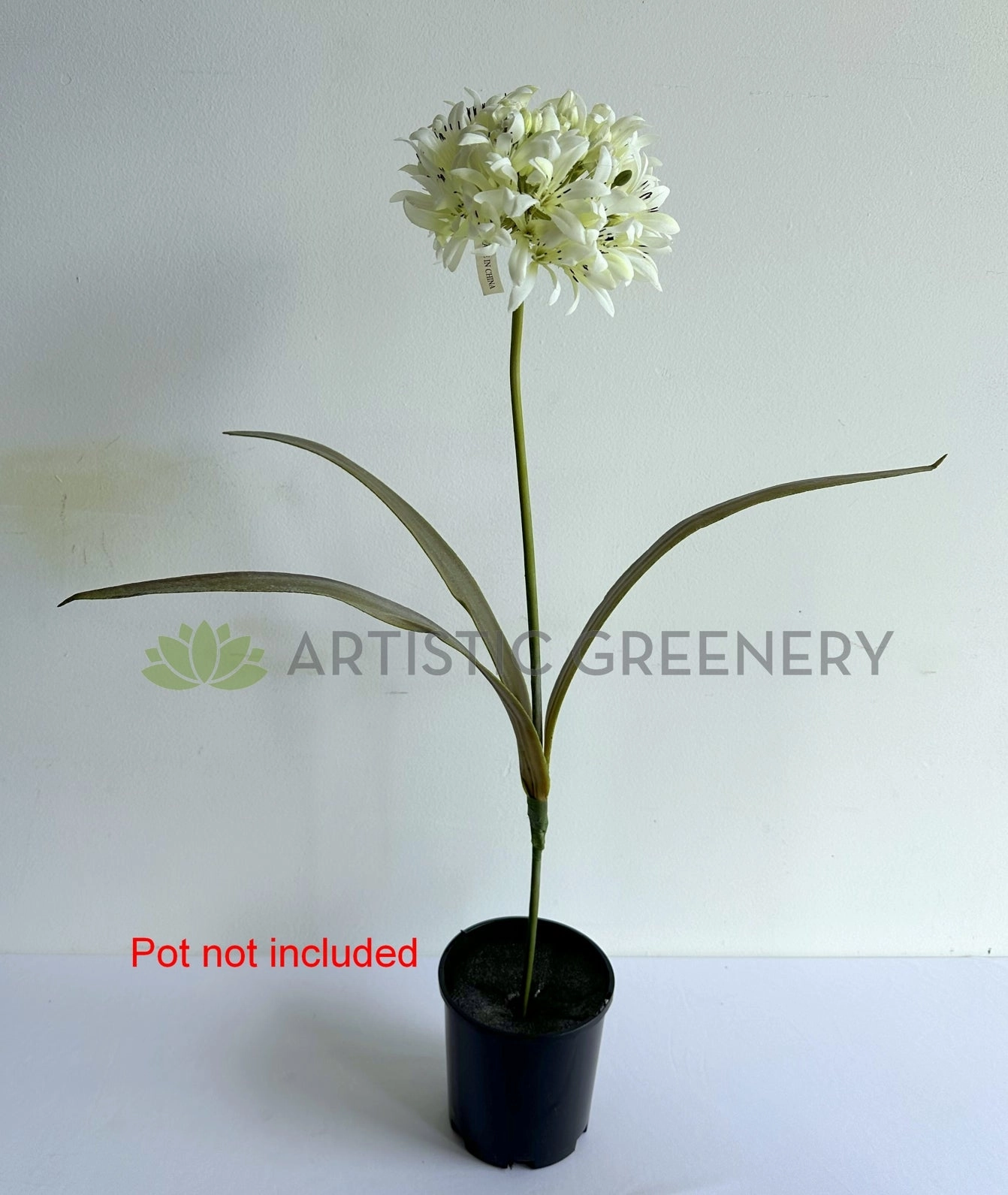 F0145 Agapanthus Stem 74cm White
