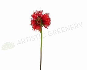 F0156 Pohutukawa 74cm Red outdoor greenery  