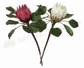 F0160 Giant King Protea Single Stem 80cmcm White / Dark Pink outdoor greenery  