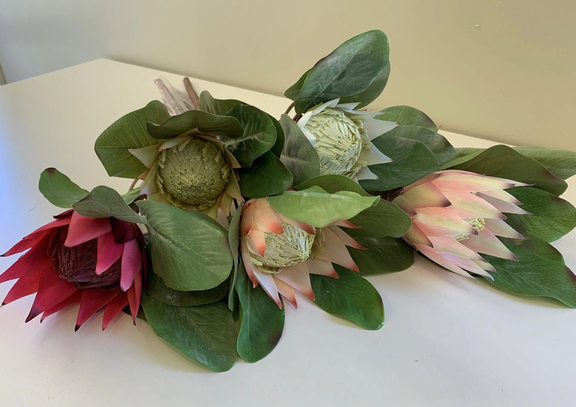 F0160 SML King Protea Single Stem 50cm 5 Colours