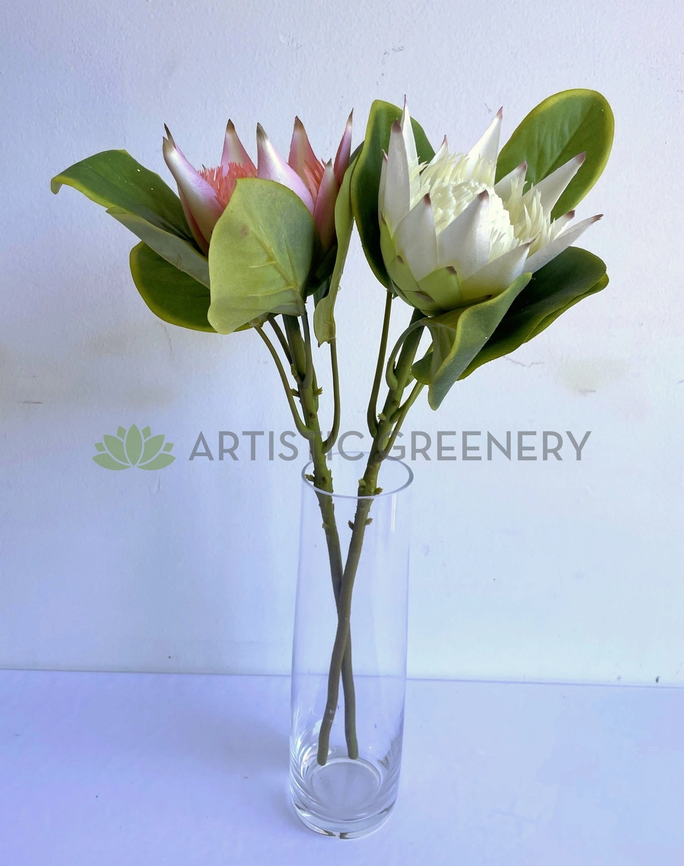 F0160S King Protea Single Stem 53cm White / Light Pink