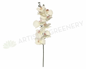 F0166 Phalaenopsis Orchid Silk 85cm White outdoor greenery  
