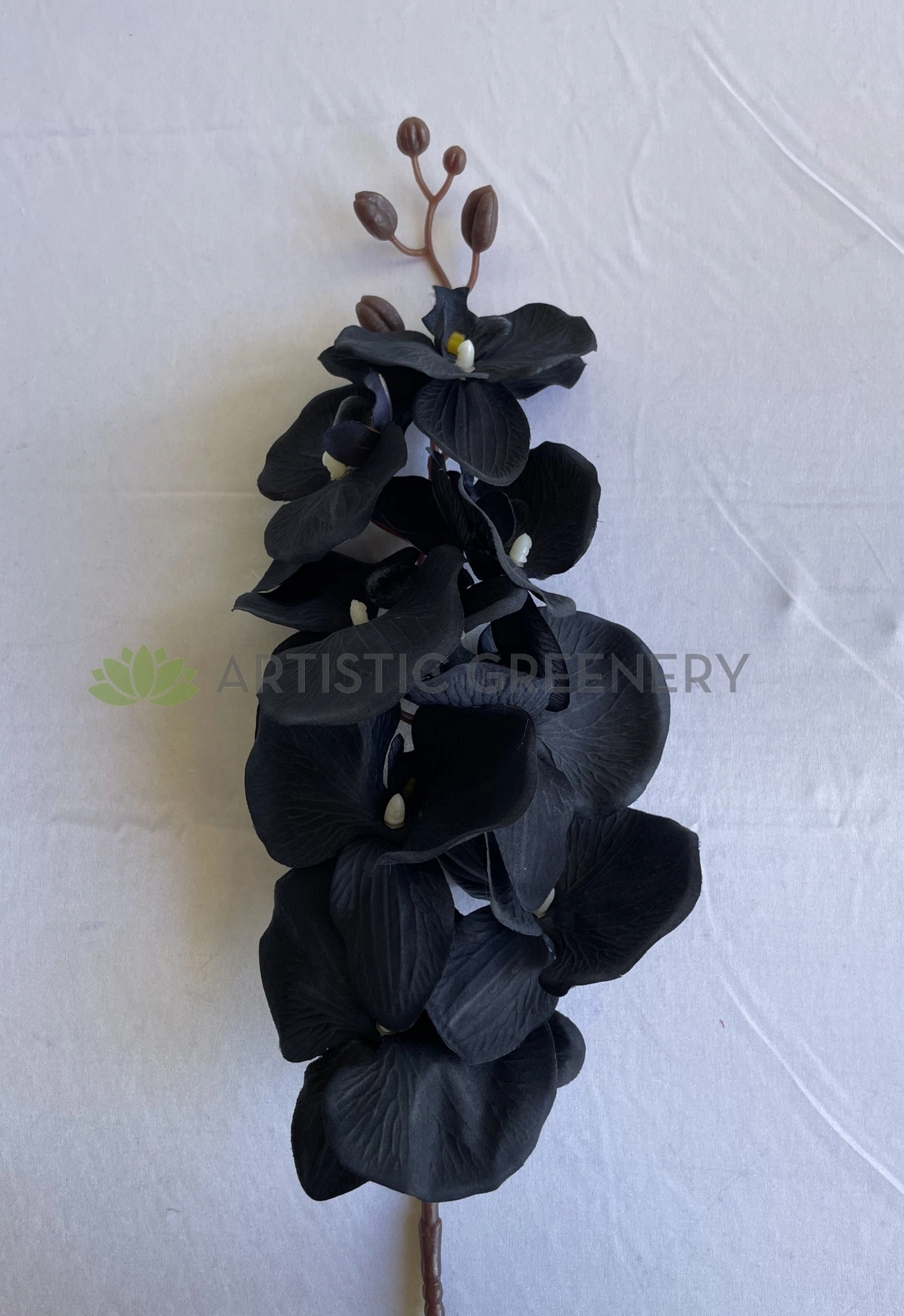 F0166BLA Phalaenopsis Orchid 105cm Black Silk