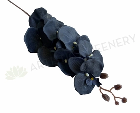 F0166BLA Phalaenopsis Orchid 105cm Black Silk outdoor greenery  