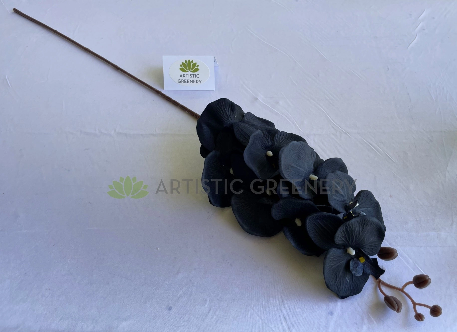 F0166BLA Phalaenopsis Orchid 105cm Black Silk