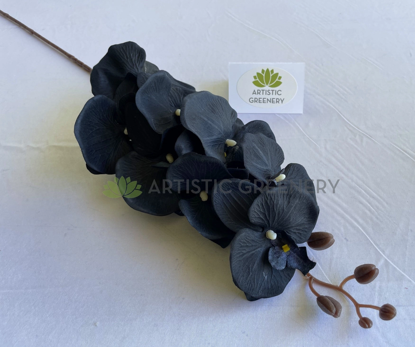 F0166BLA Phalaenopsis Orchid 105cm Black Silk