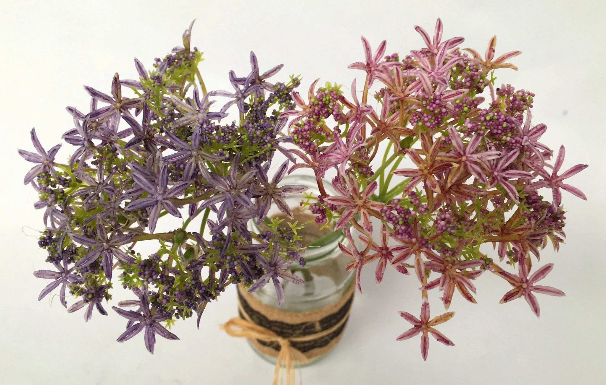 F0167 Star Laceflower 32cm Purple / Pink