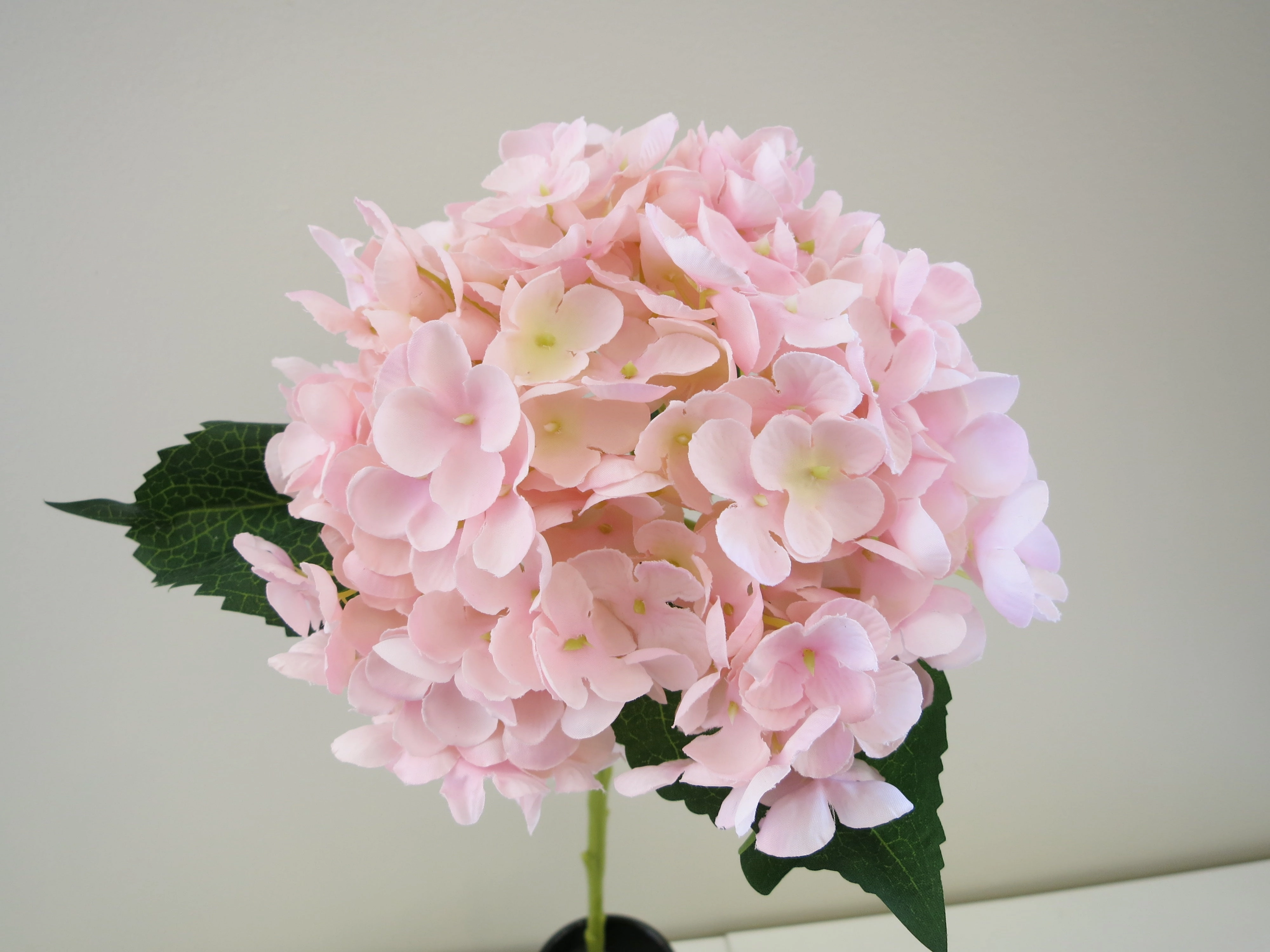 F0171 Hydrangea Single Stem 53cm Light Pink (17cm diameter)