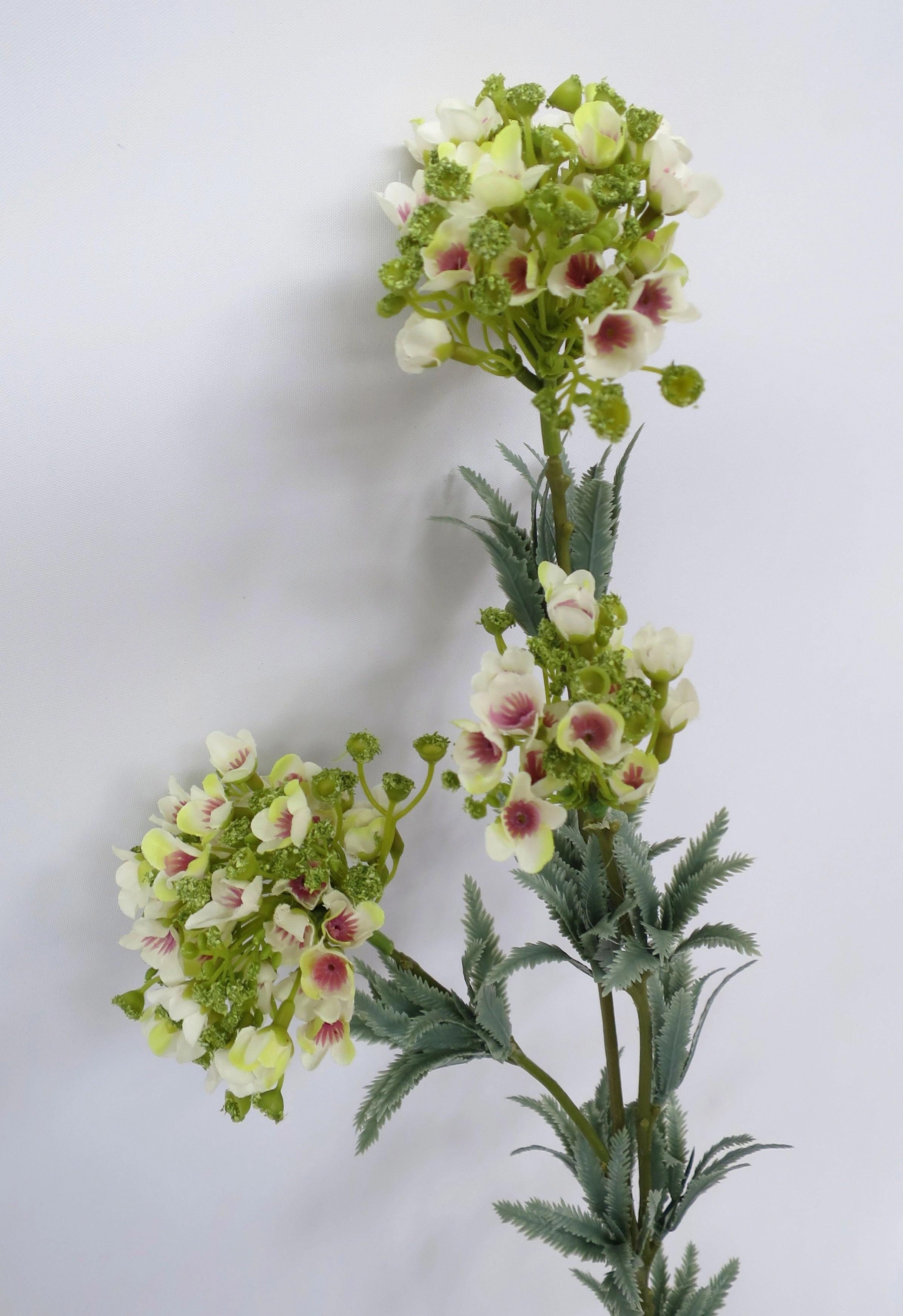 F0180 Wax Flower Cluster Spray 77cm White & Light Green