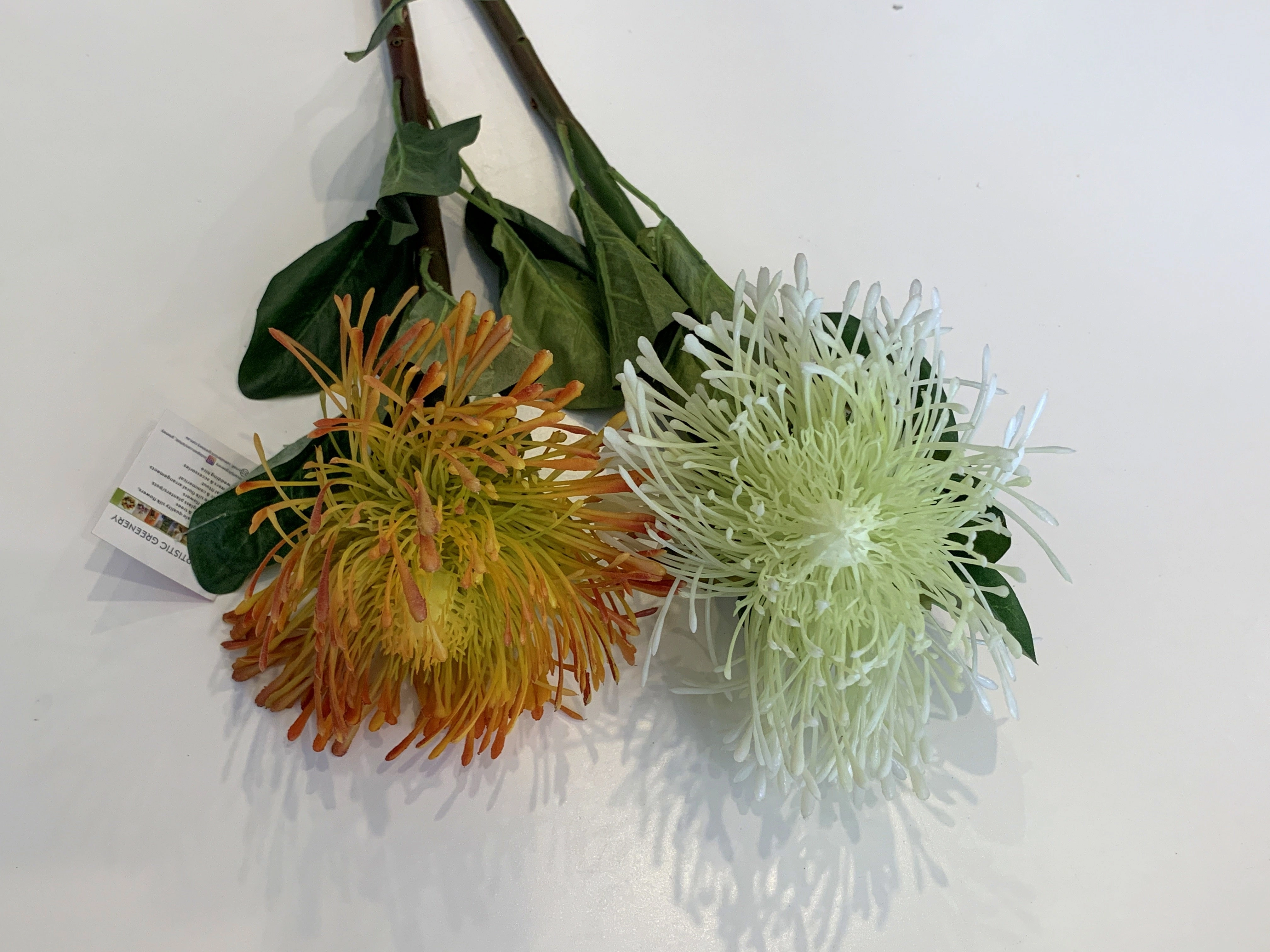 F0181 Pincushion Protea Large 70cm (17cm diameter) Red / White / Orange