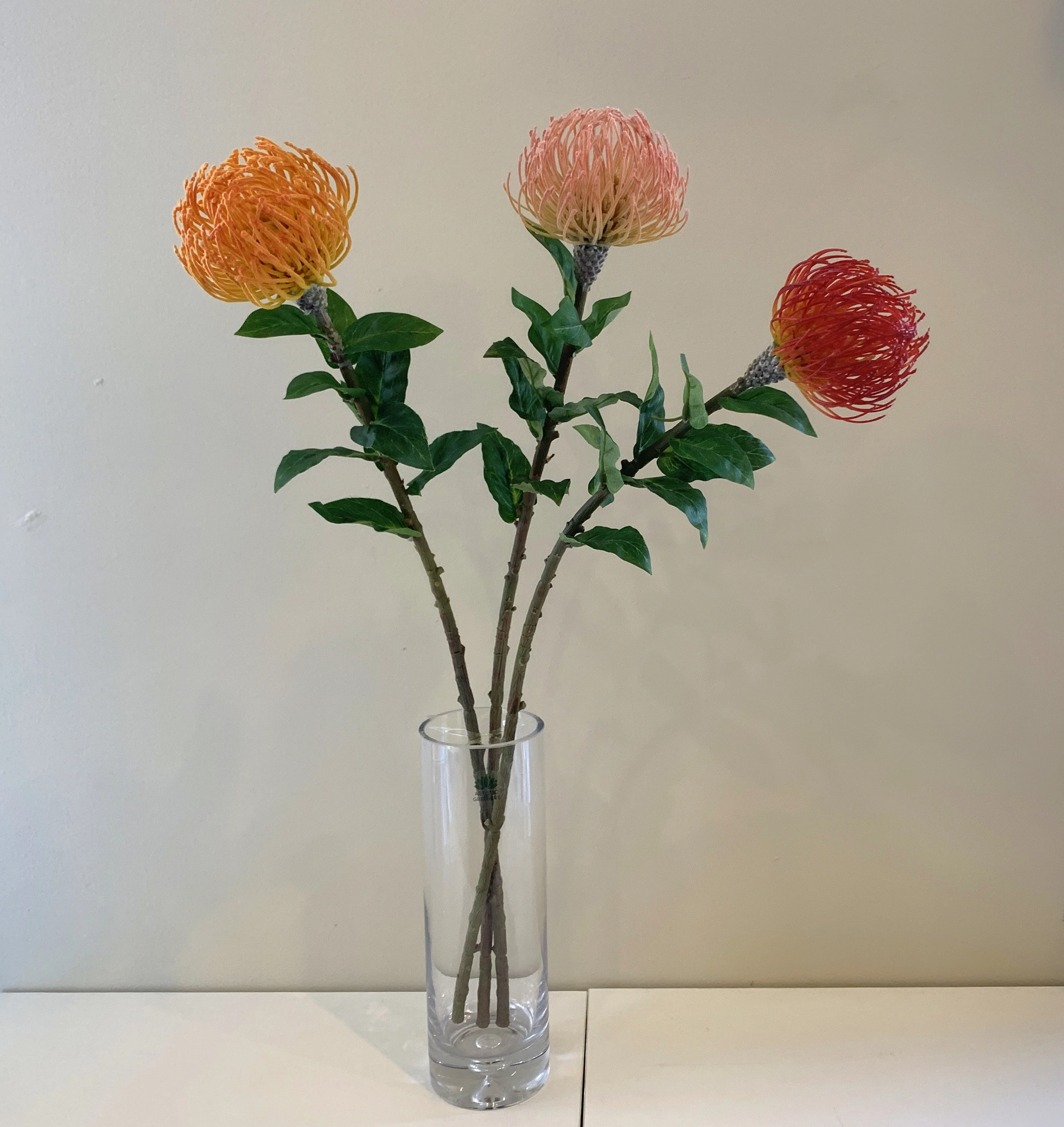 F0185 Pincushion Protea with Leaves 72cm Orange / Pink / Red