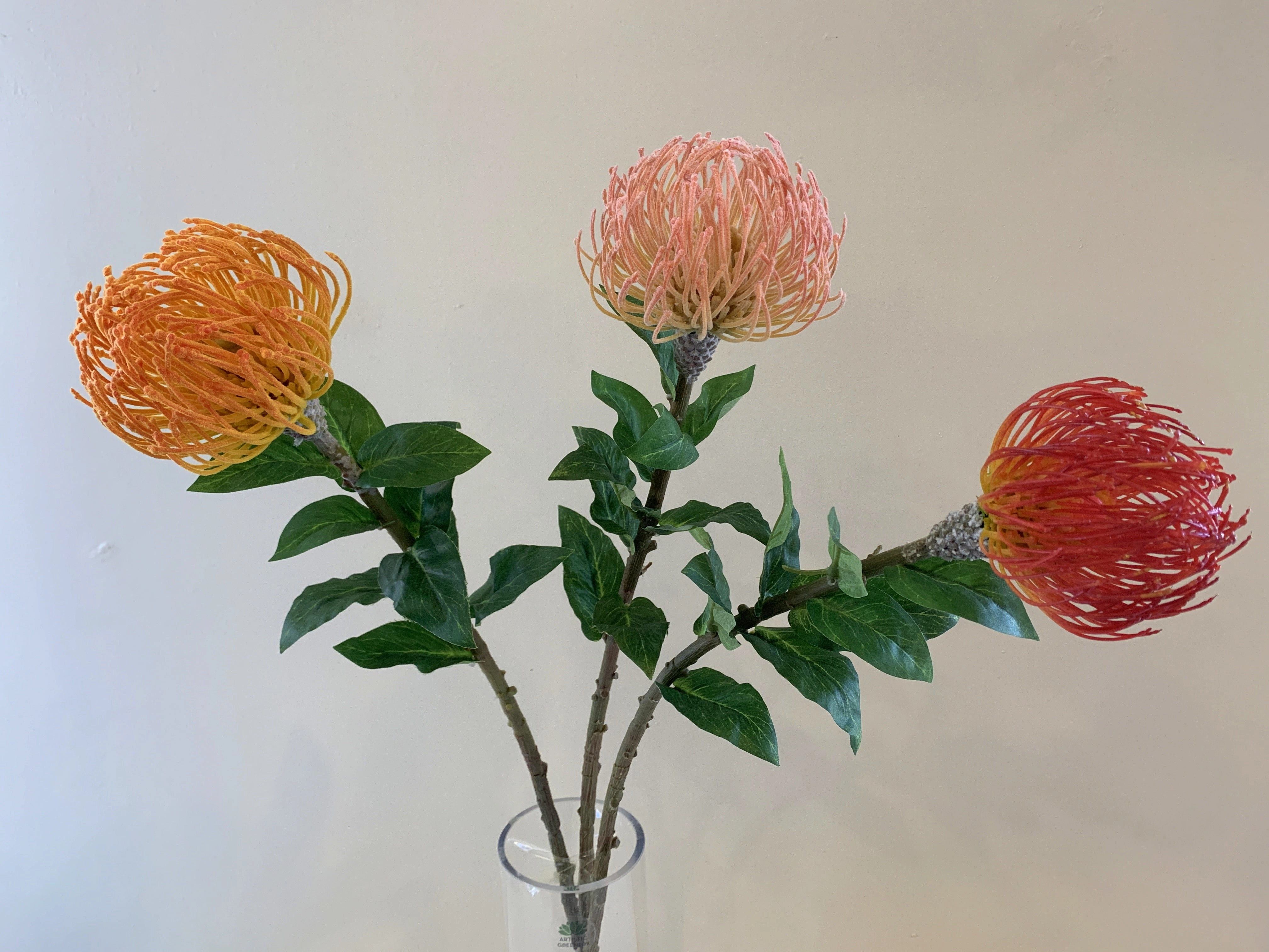 F0185 Pincushion Protea with Leaves 72cm Orange / Pink / Red