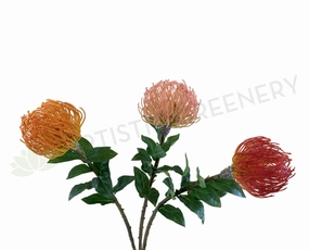 F0185 Pincushion Protea with Leaves 72cm Orange / Pink / Red outdoor greenery  