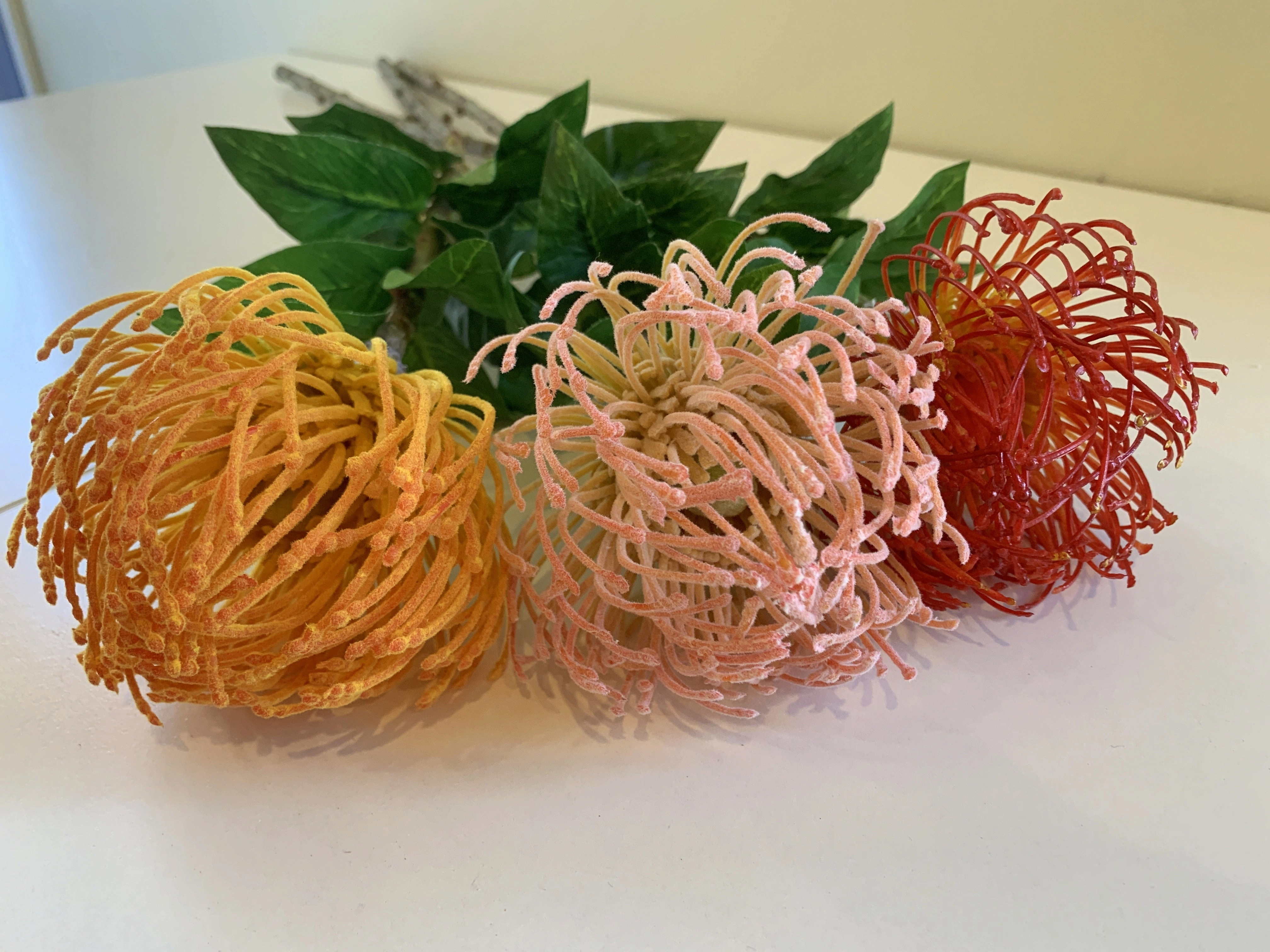 F0185 Pincushion Protea with Leaves 72cm Orange / Pink / Red