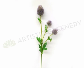 F0187 Eryngium Thistles / Sea Holly 67cm Purple outdoor greenery  