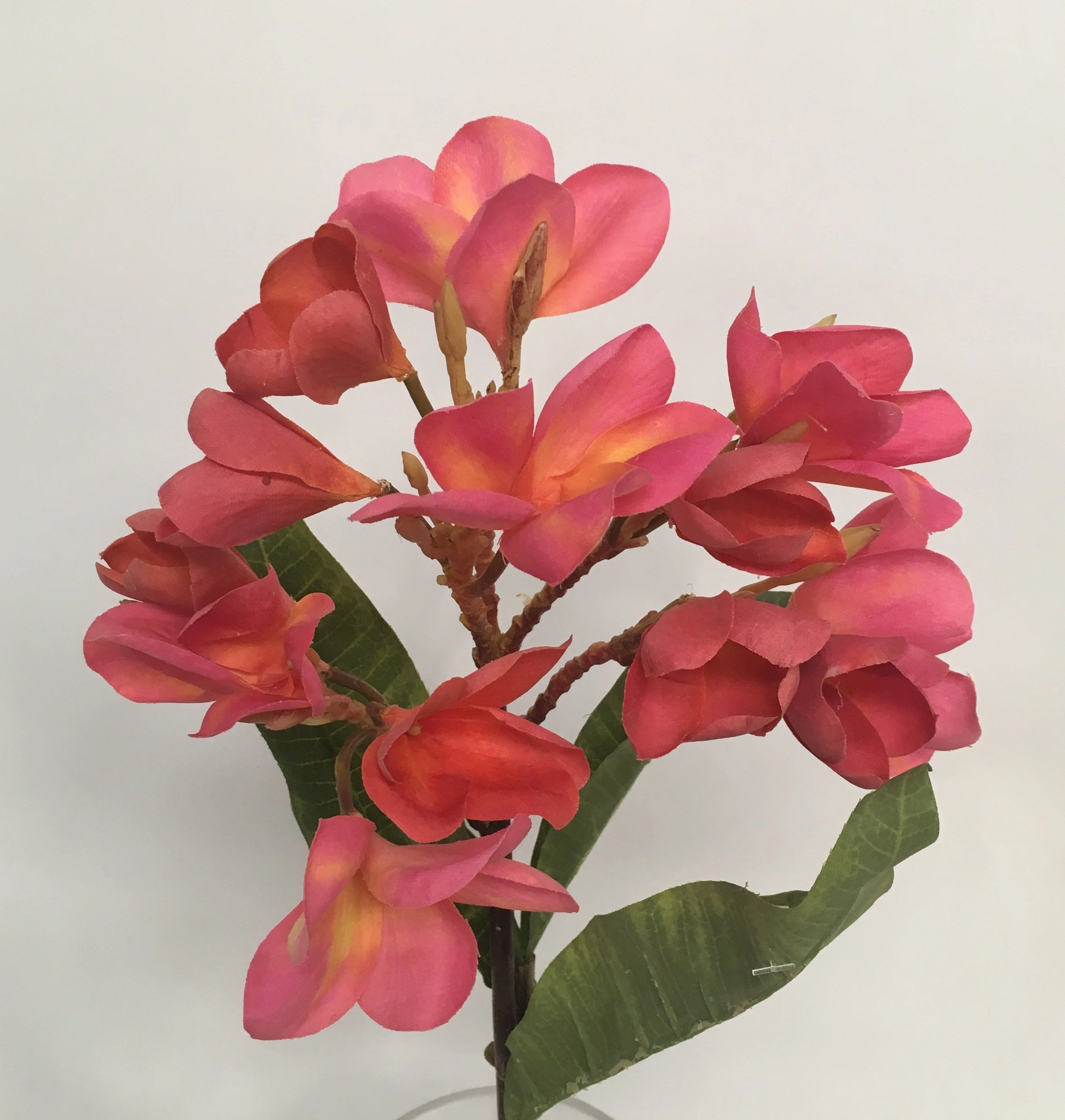 F0188 Frangipani Spray 62cm Pink