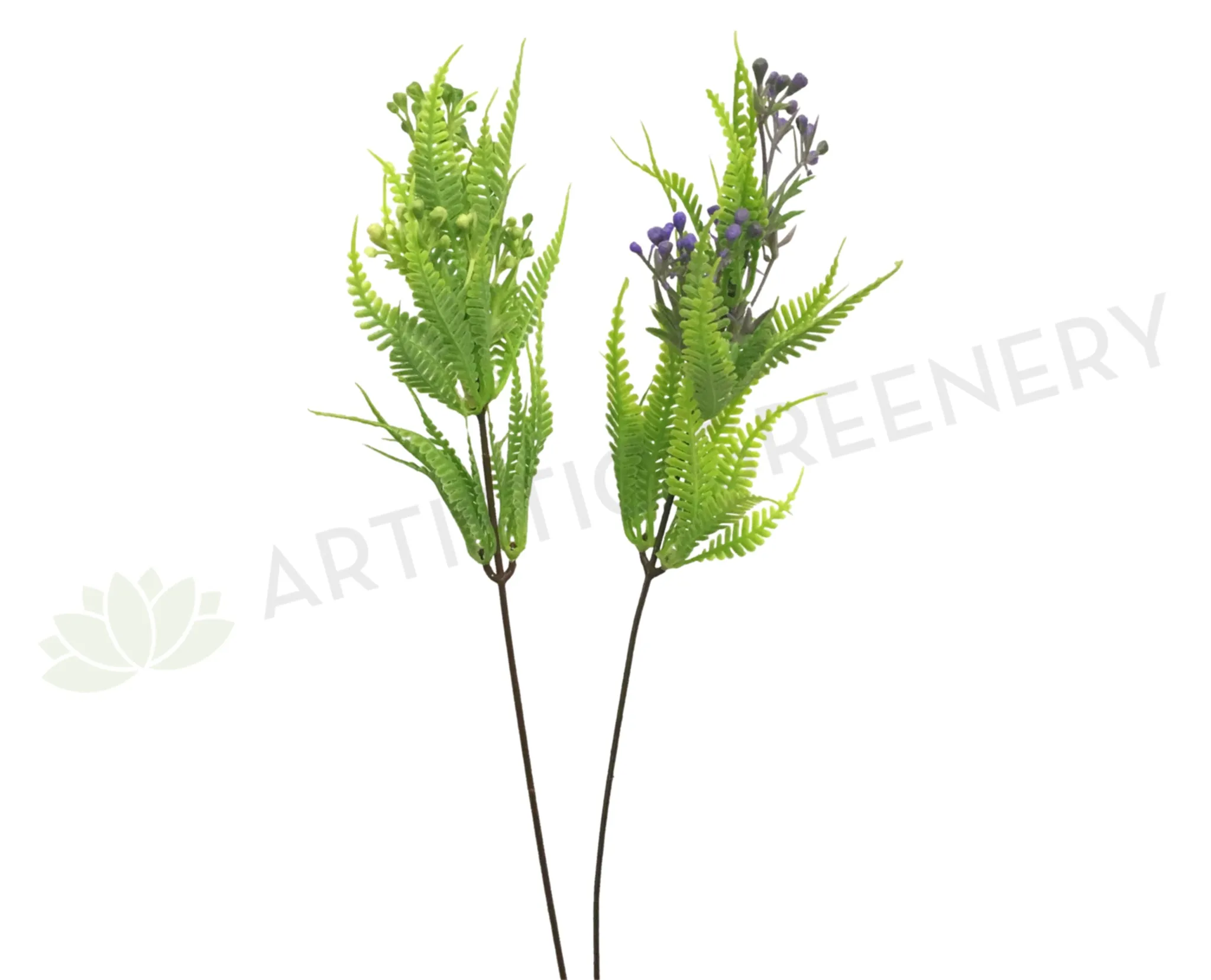 F0191 Seeded Fern Pick 43cm 2 Styles dried green plant  