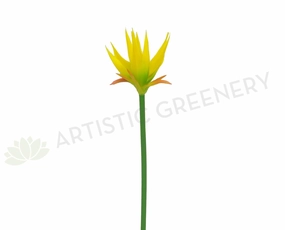 F0197 Musa / Exotic Flower 69cm Yellow (Tropical) outdoor greenery  