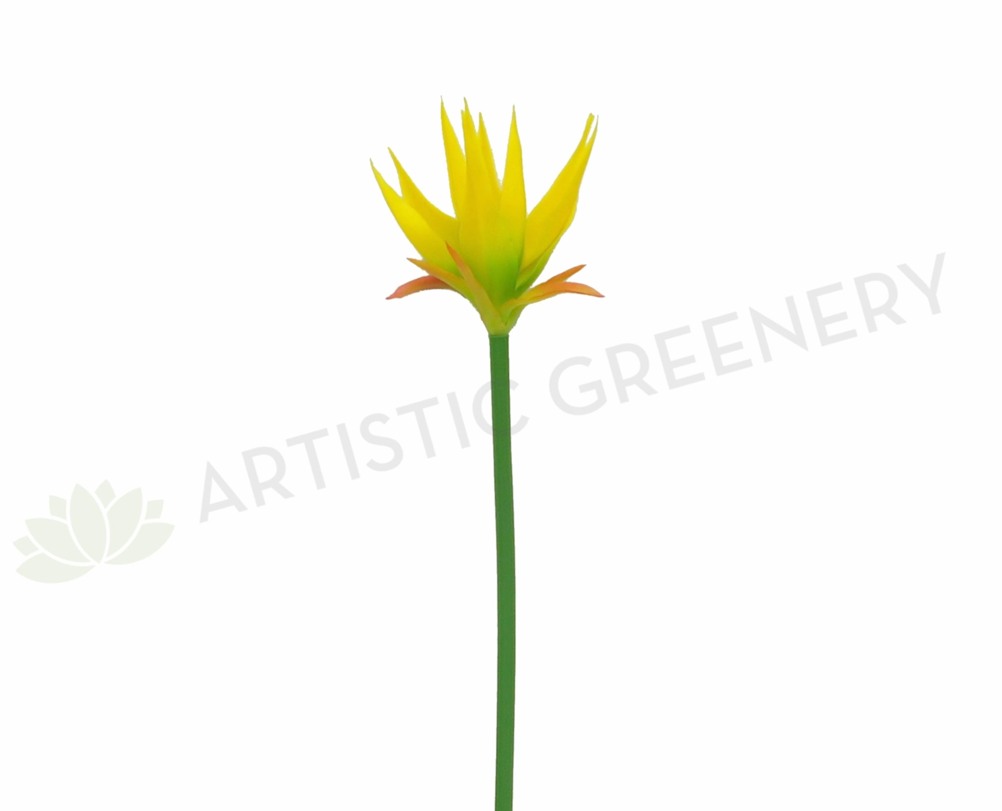 F0197 Musa / Exotic Flower 69cm Yellow (Tropical) outdoor greenery  