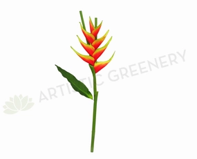 F0200 Giant Heliconia / Crab Claw Flower 96cm Flame (Tropical) outdoor greenery  