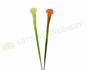 F0201 Sarracenia / Pitcher Plant Flower 82cm 2 Styles outdoor greenery  
