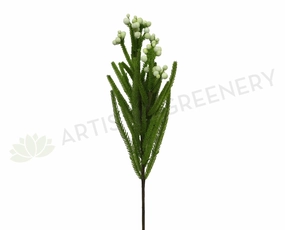 F0204 & F0205 Safari Pine Pick with Seeds /  Brunia 53-60cm 3 Styles xl flower pot  