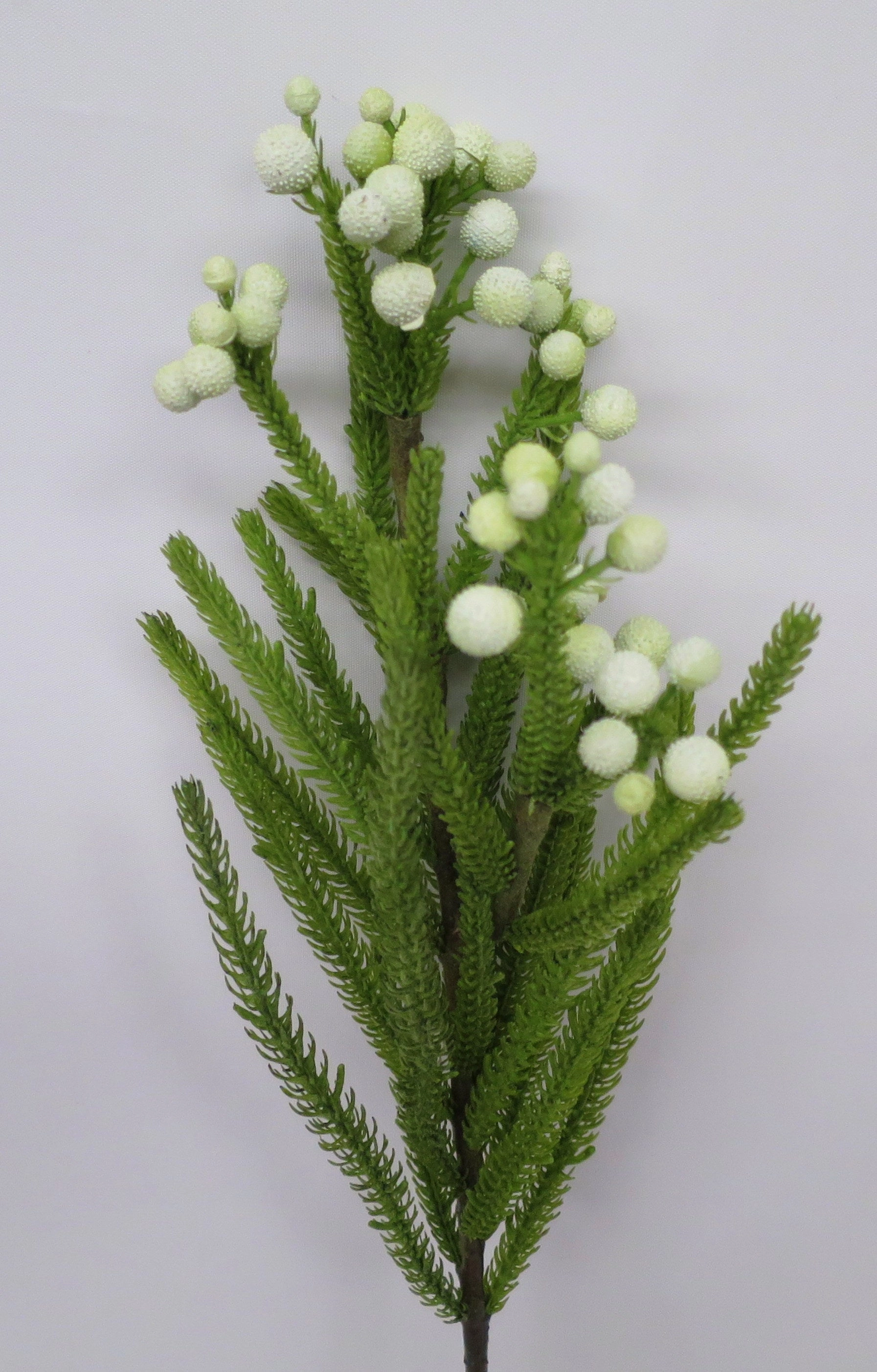 F0204 & F0205 Safari Pine Pick with Seeds /  Brunia 53-60cm 3 Styles