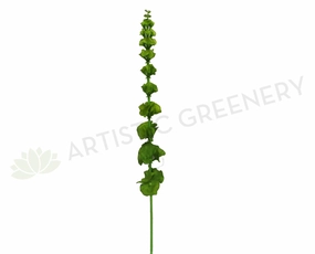 F0206 Bells of Ireland 75cm Green outdoor greenery  