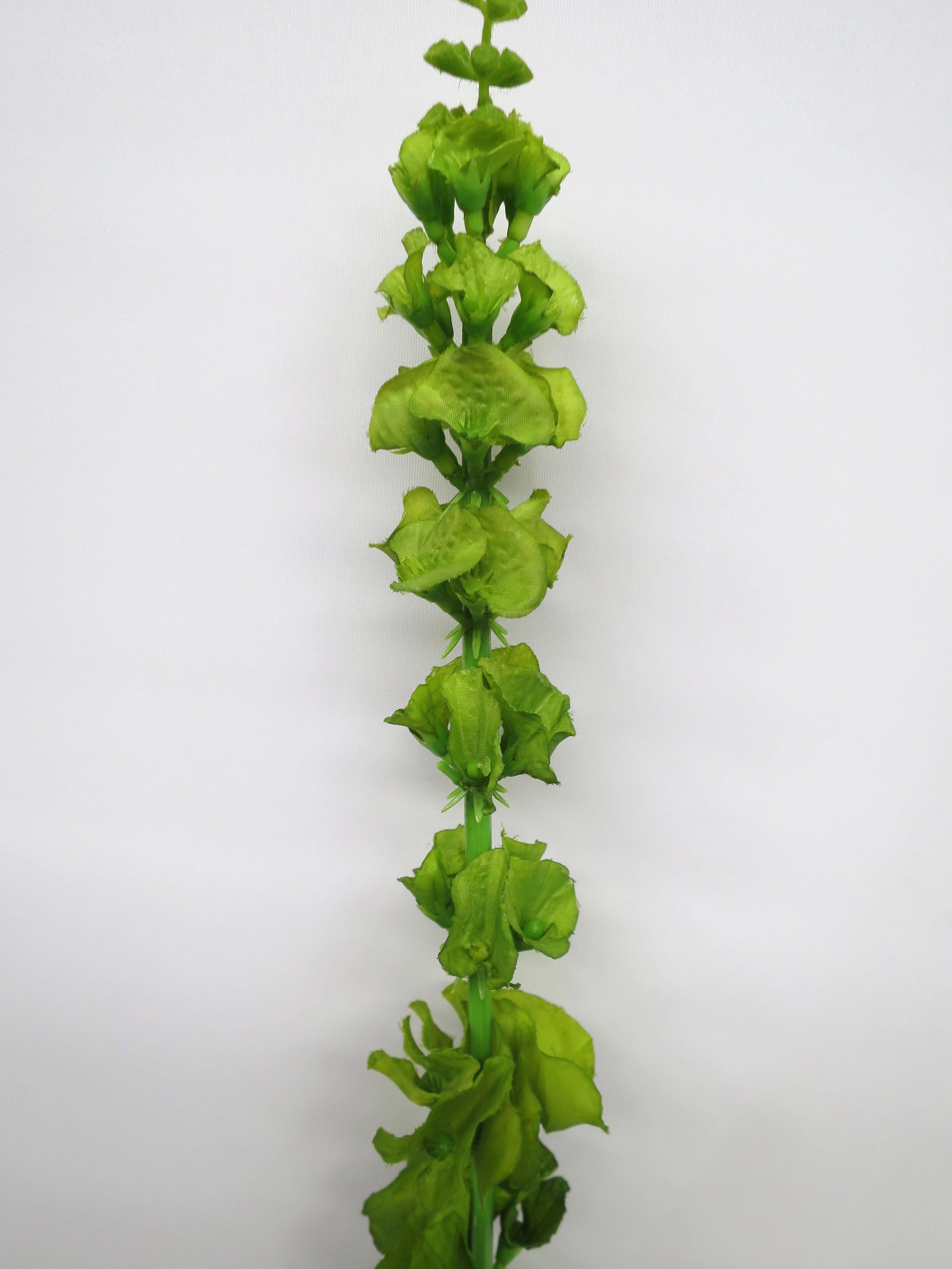 F0206 Bells of Ireland 75cm Green
