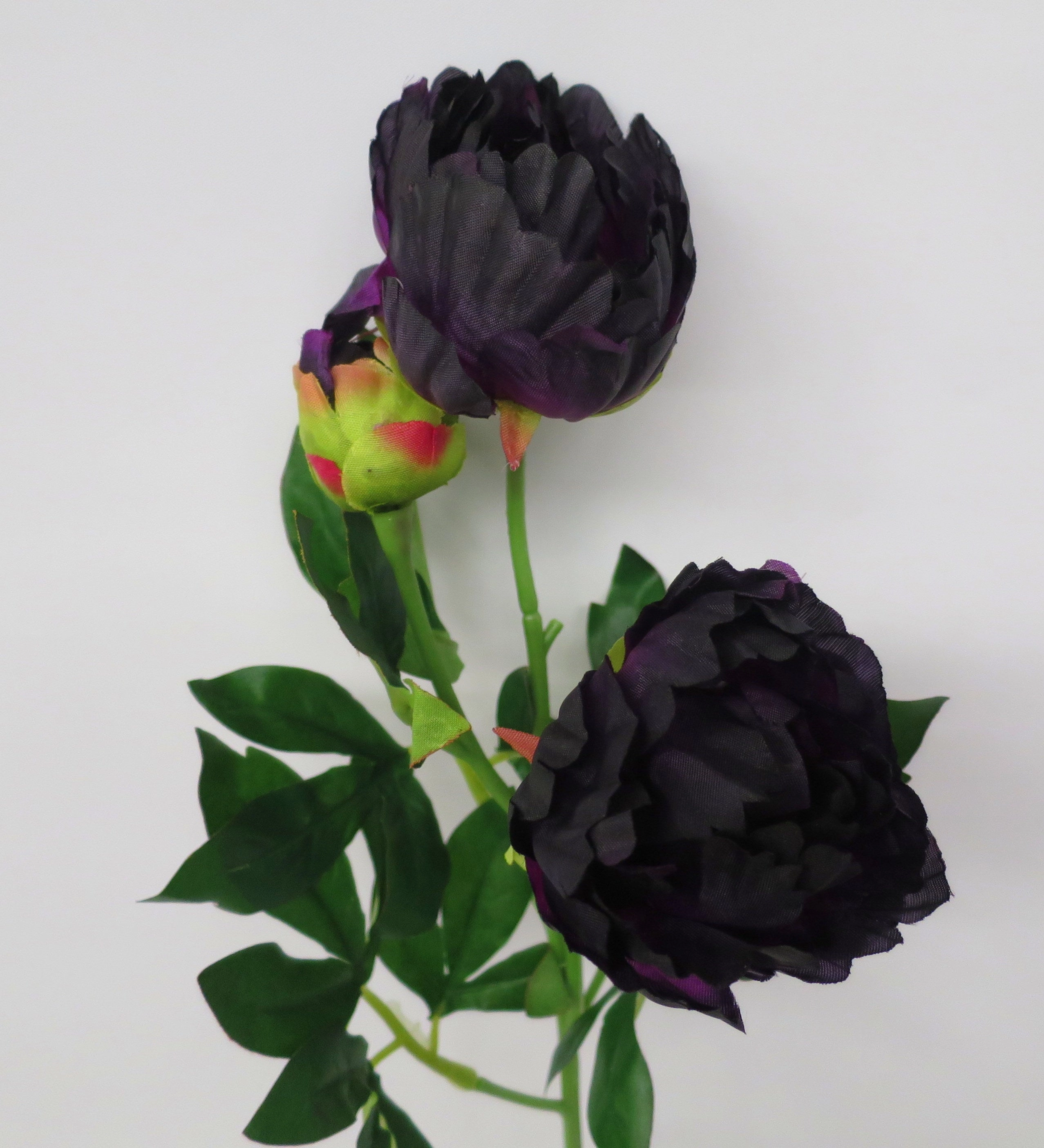 F0213 Peony Spray 65cm Dark Purple
